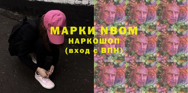 PSILOCYBIN Новодвинск