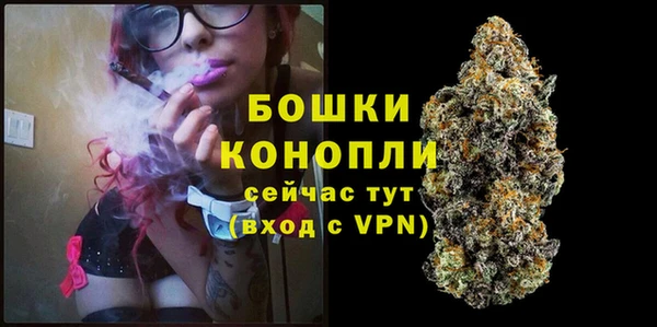 PSILOCYBIN Новодвинск