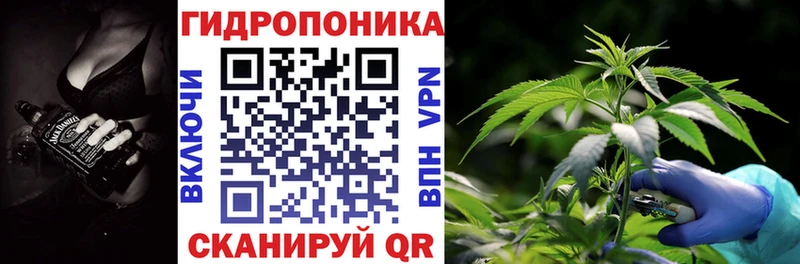 Купить закладки  Курган  Каннабис ГИДРОПОН 